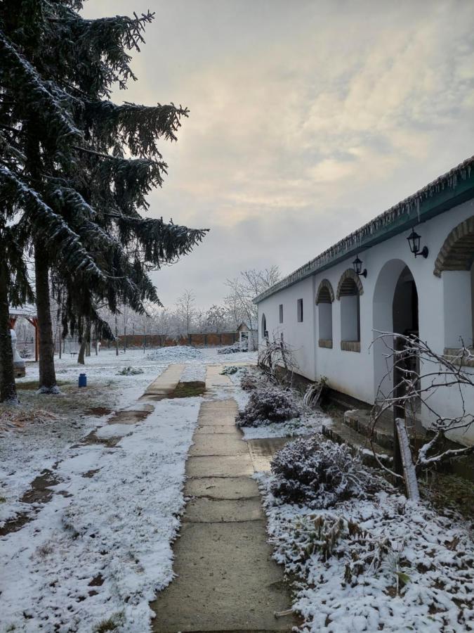 Hotel Eva House Pacir Zewnętrze zdjęcie