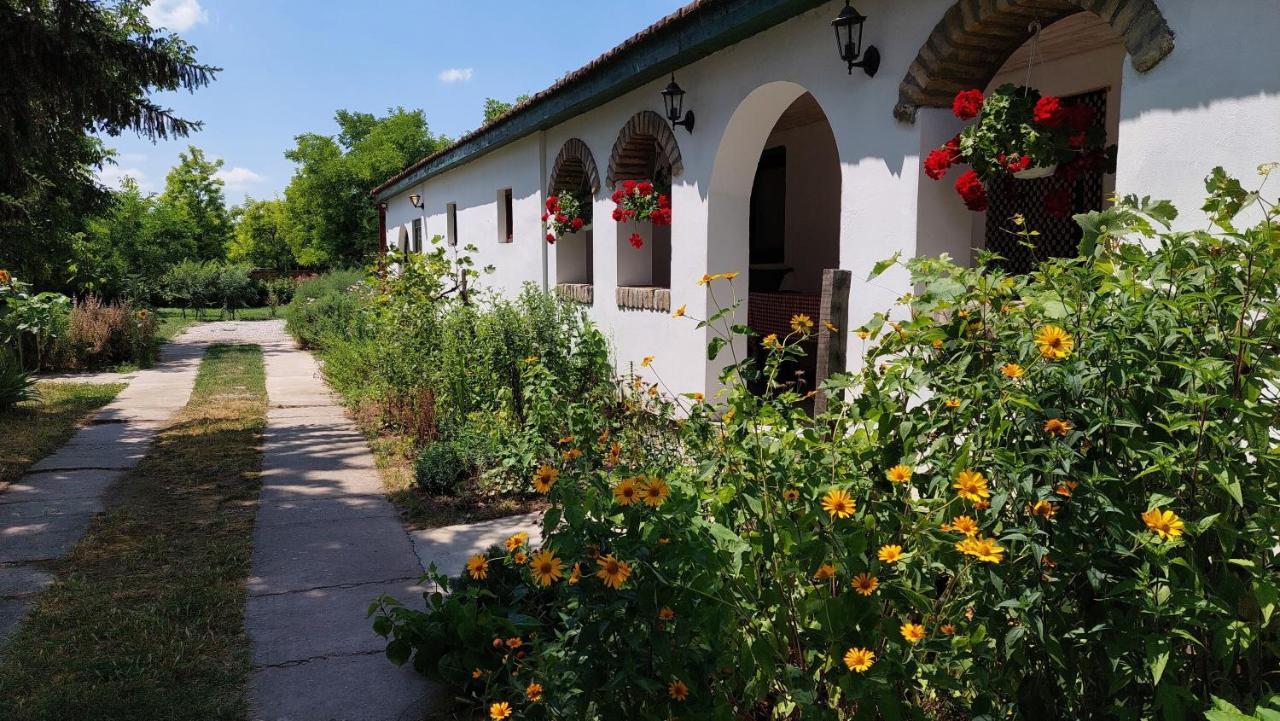 Hotel Eva House Pacir Zewnętrze zdjęcie